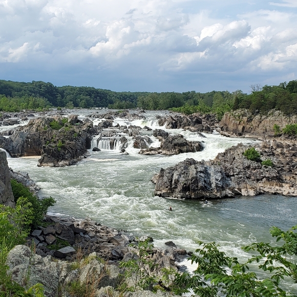 Meet your Posher, David - Picture 1 of 1